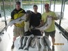 (08/08/2016) - Nice Striped Bass